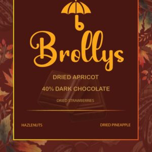 Organic 40% Dark Chocolate with Pineapple, Apricot, Strawberry, and Hazelnut