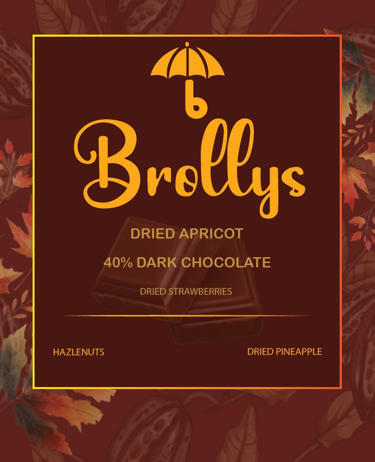 Organic 40% Dark Chocolate with Pineapple, Apricot, Strawberry, and Hazelnut